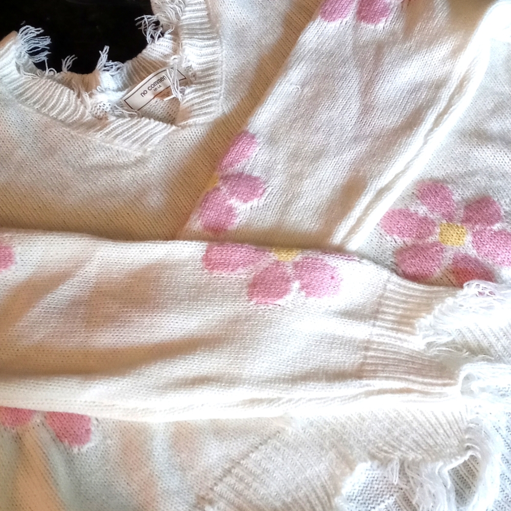 NWOT Daisy frayed crop sweater